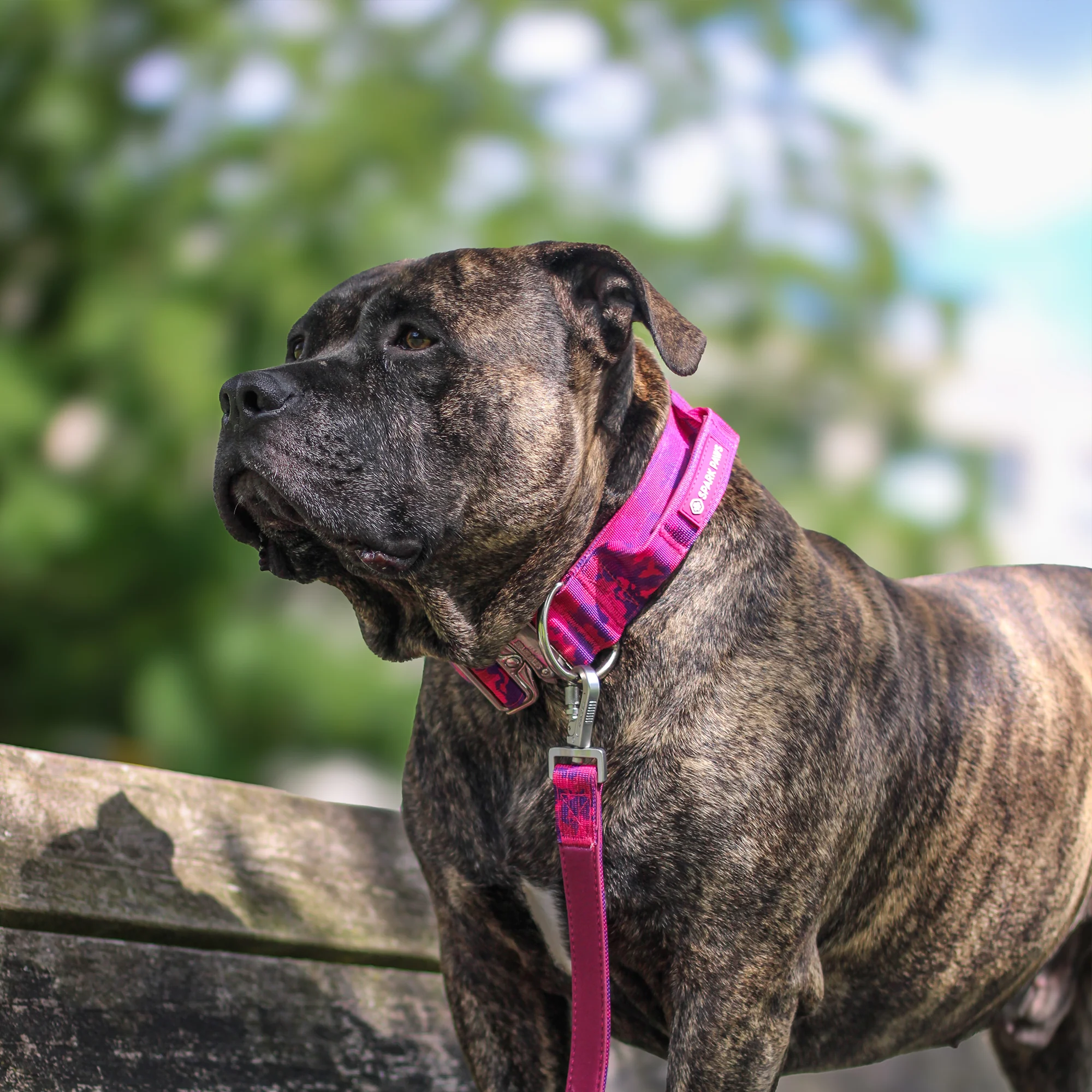 Product image 63