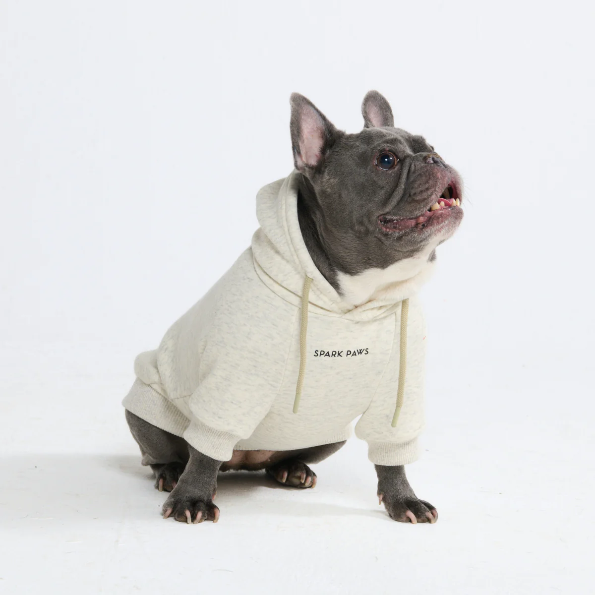 Product image 100