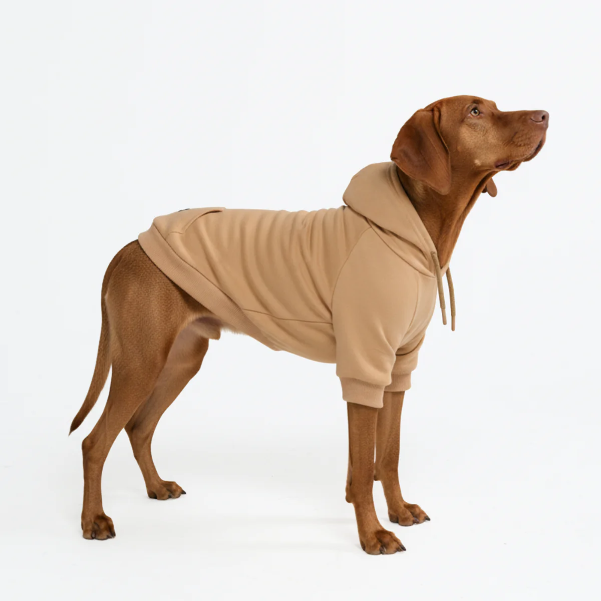 Product image 113