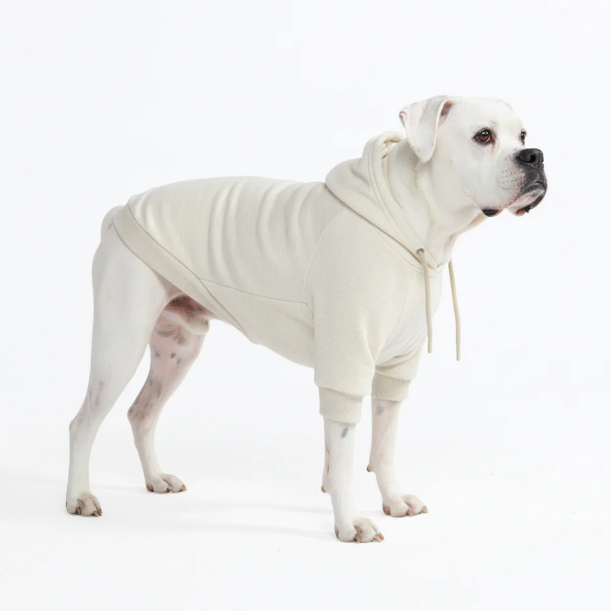 Product image 95