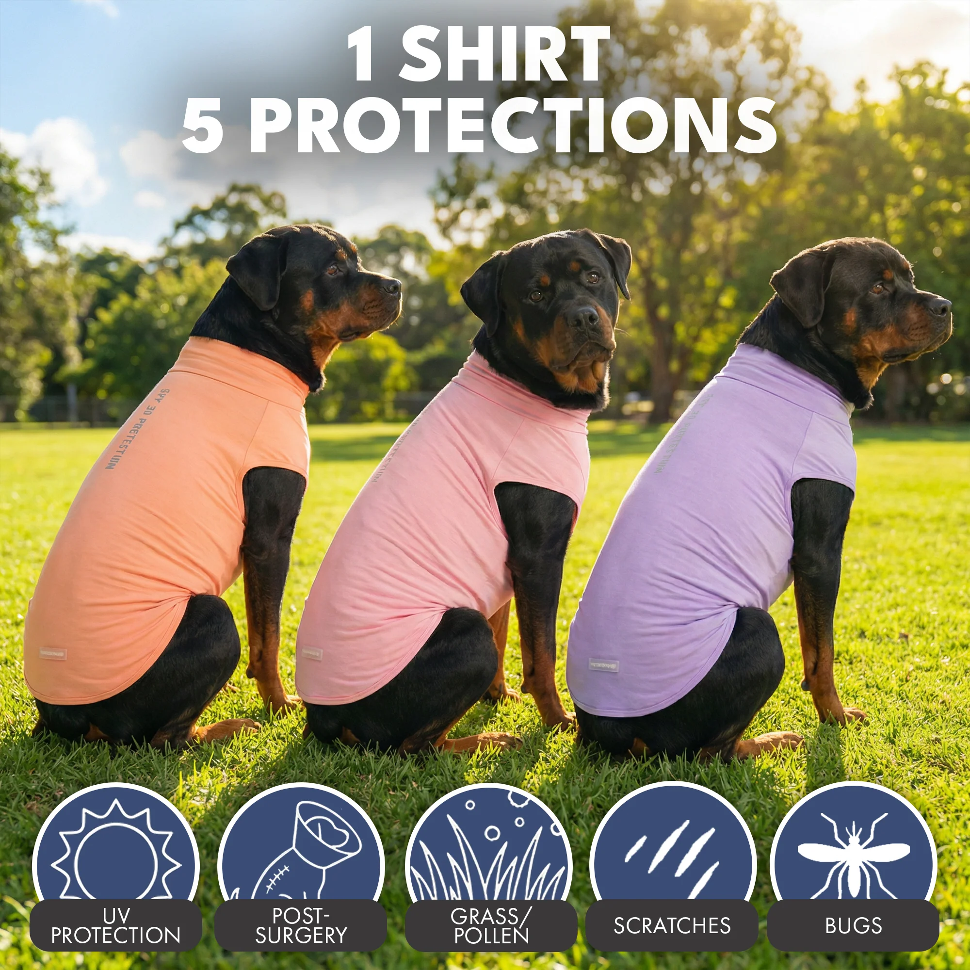 Product image 69