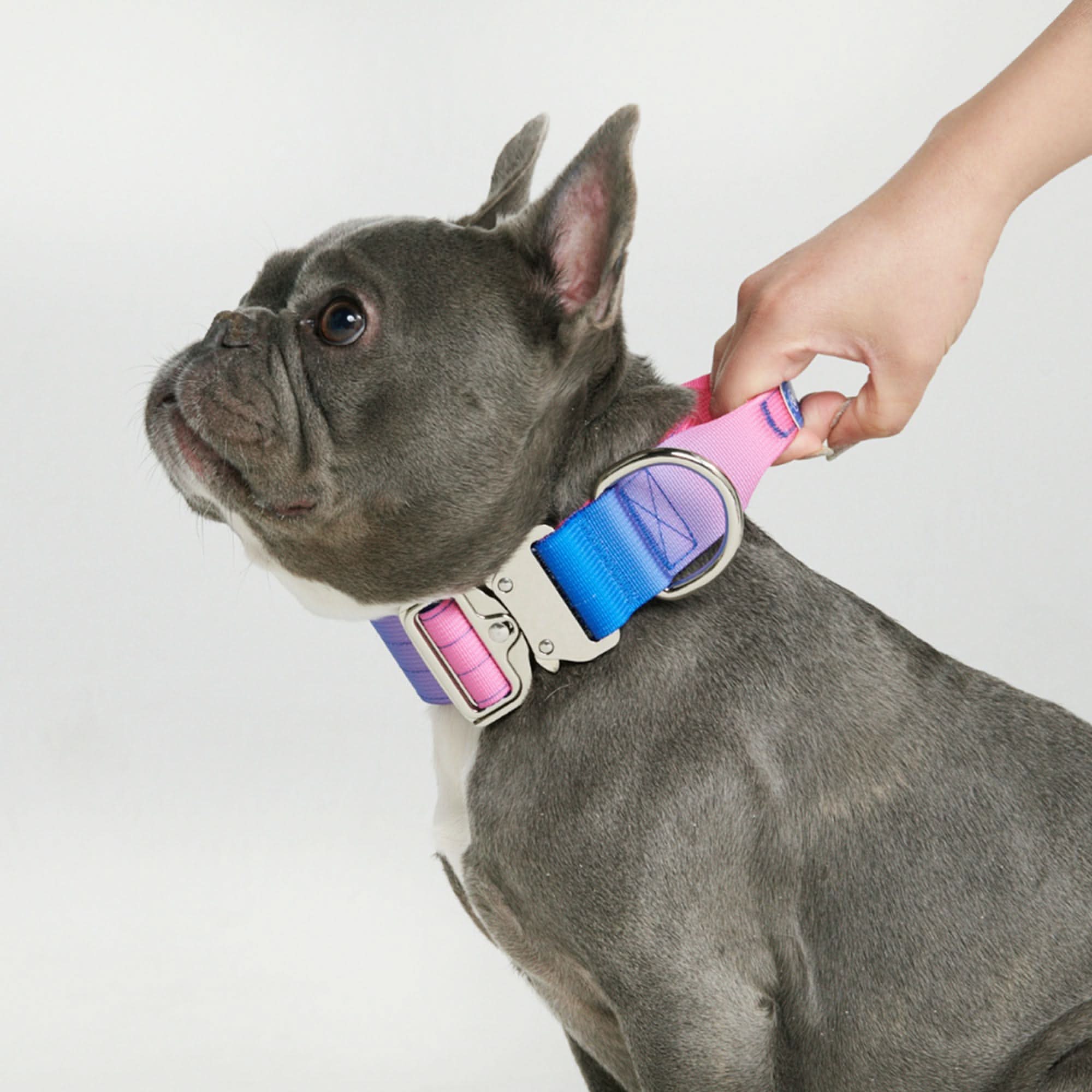 Product image 65